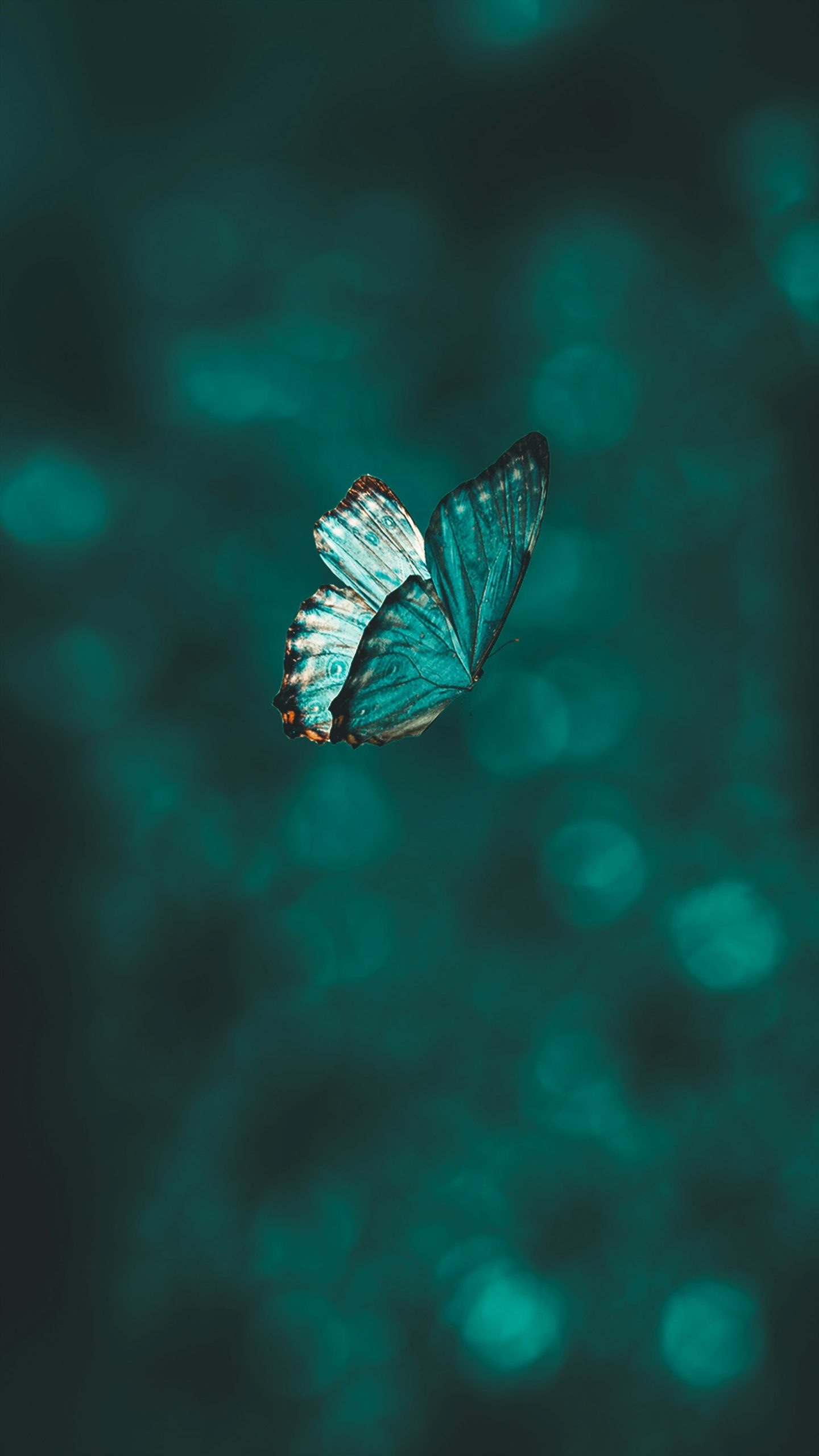 The Science Behind Spiritual Awakening